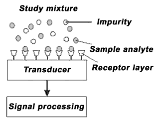principle of the biosensor